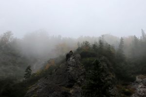 Fotoaktywni 84